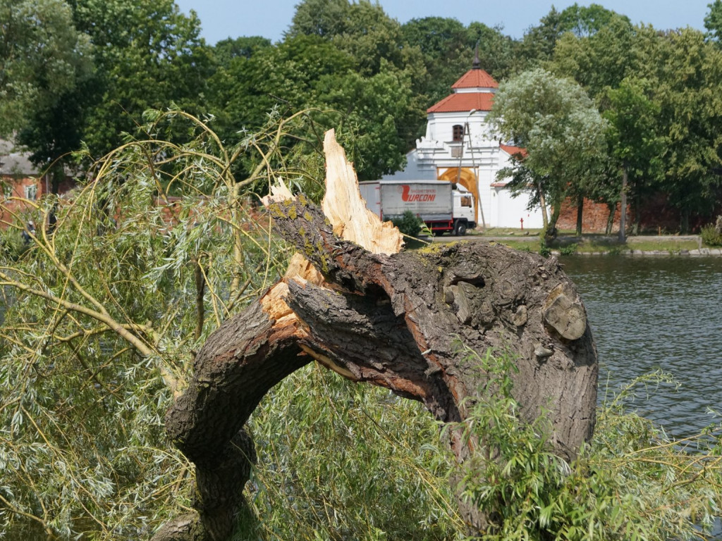 Radzyń, Marynin, Czemierniki po wichurze