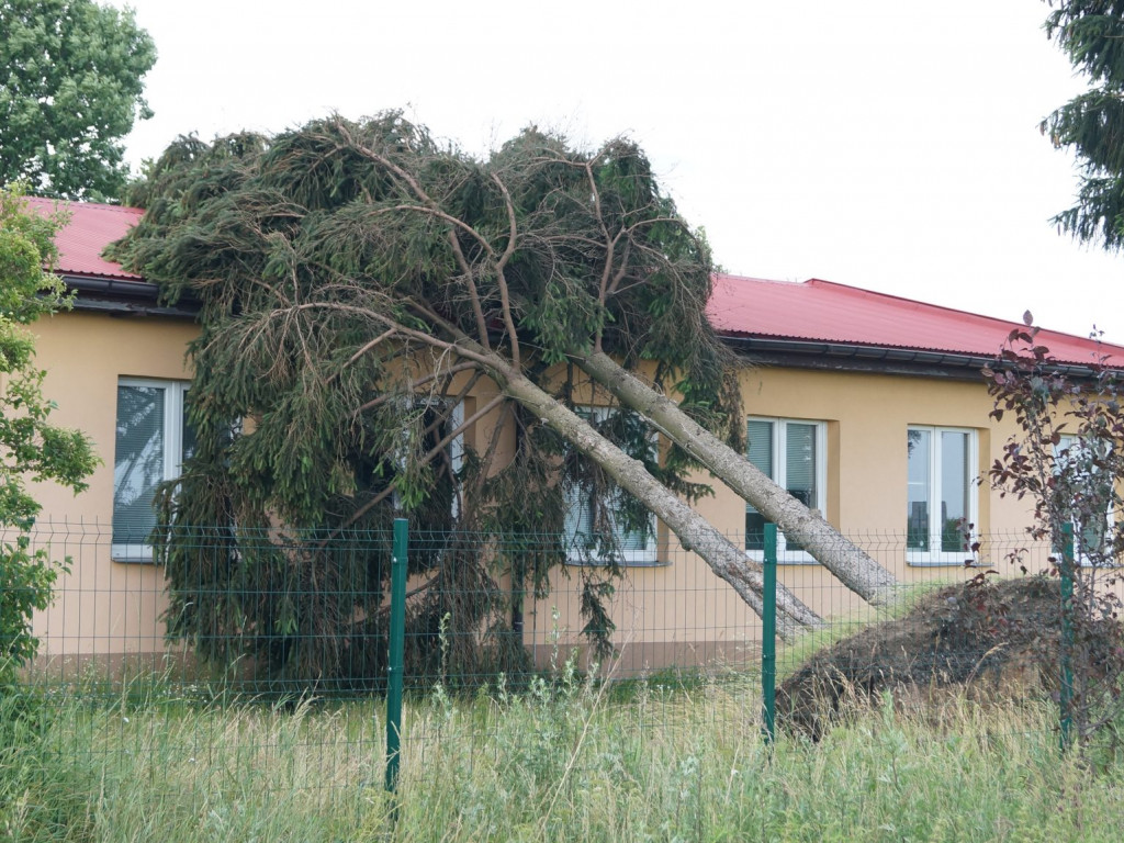 Radzyń, Marynin, Czemierniki po wichurze