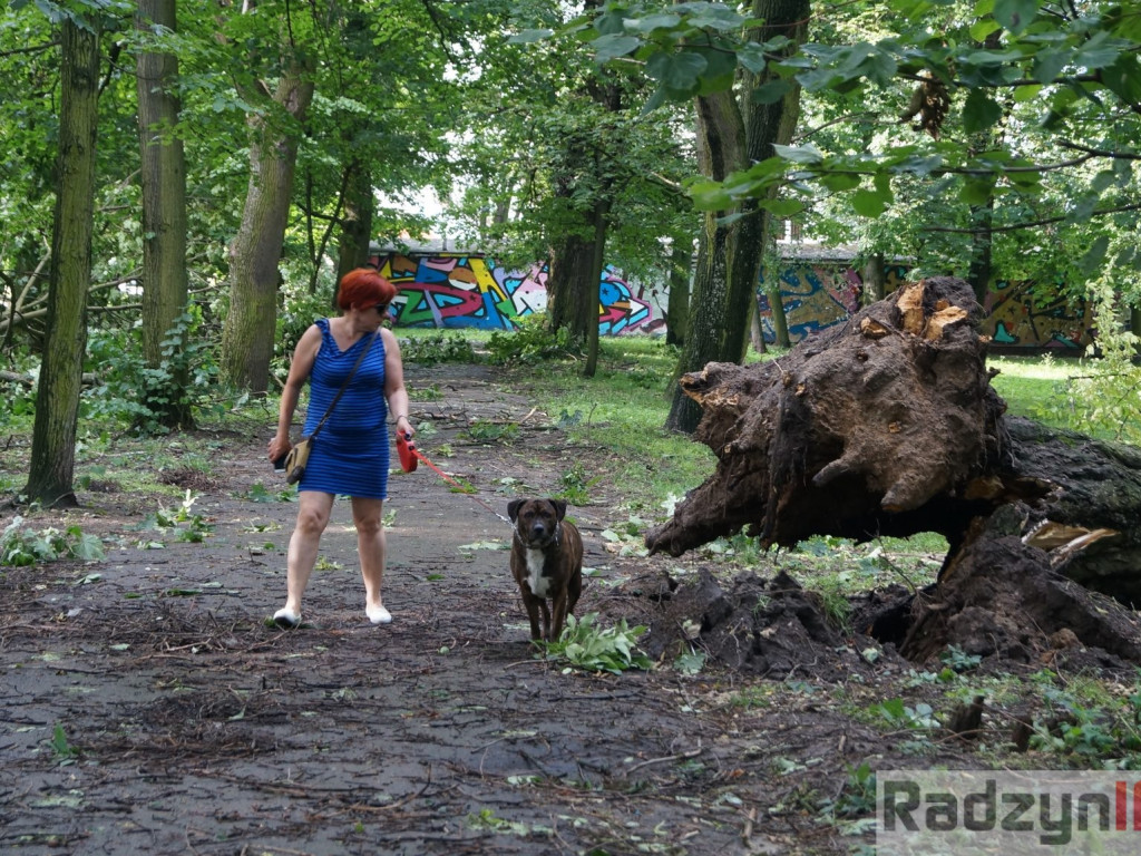 Radzyń, Marynin, Czemierniki po wichurze