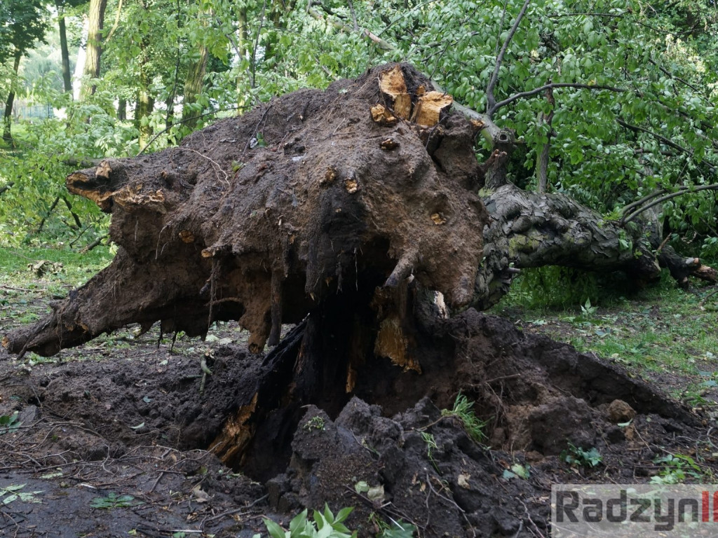 Radzyń, Marynin, Czemierniki po wichurze