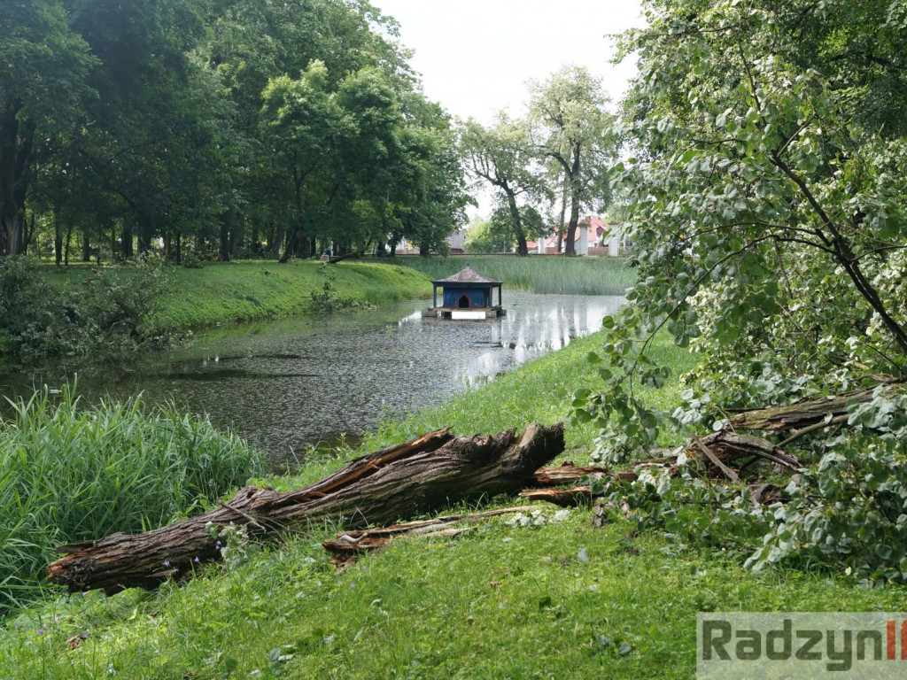 Radzyń, Marynin, Czemierniki po wichurze