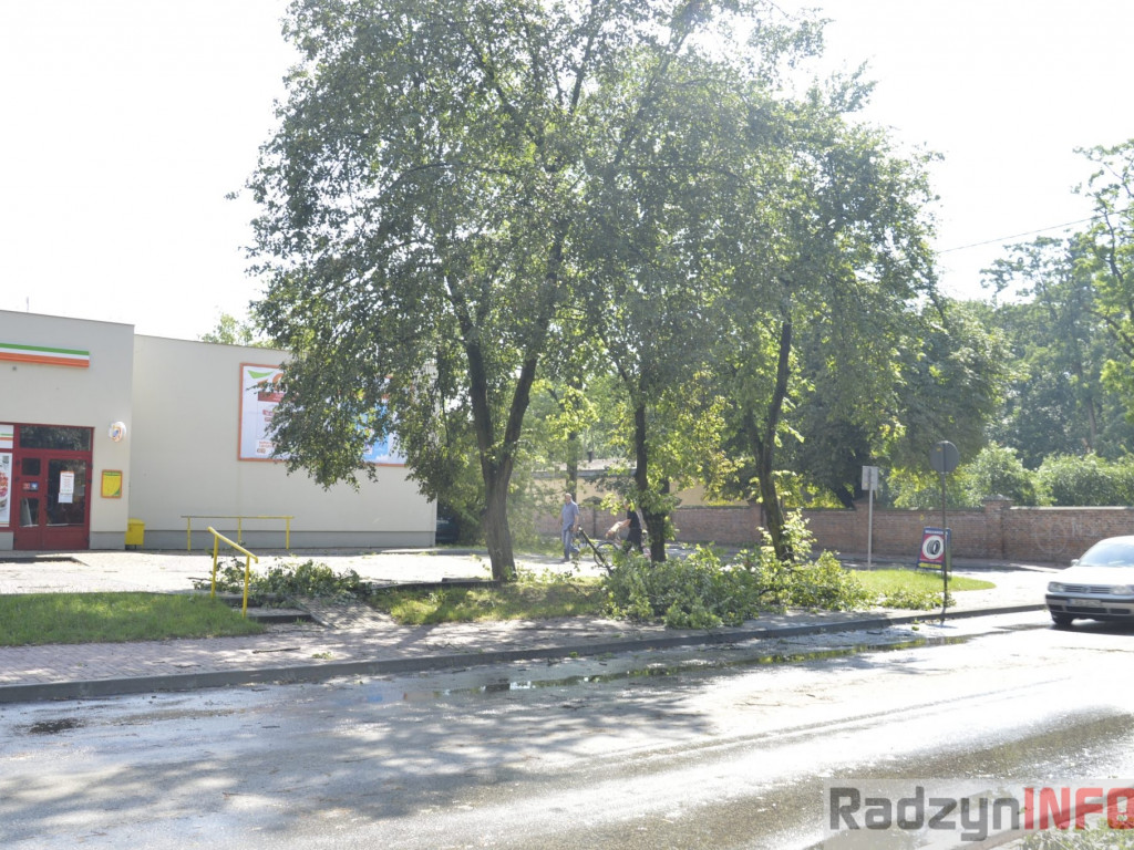 Radzyń, Marynin, Czemierniki po wichurze