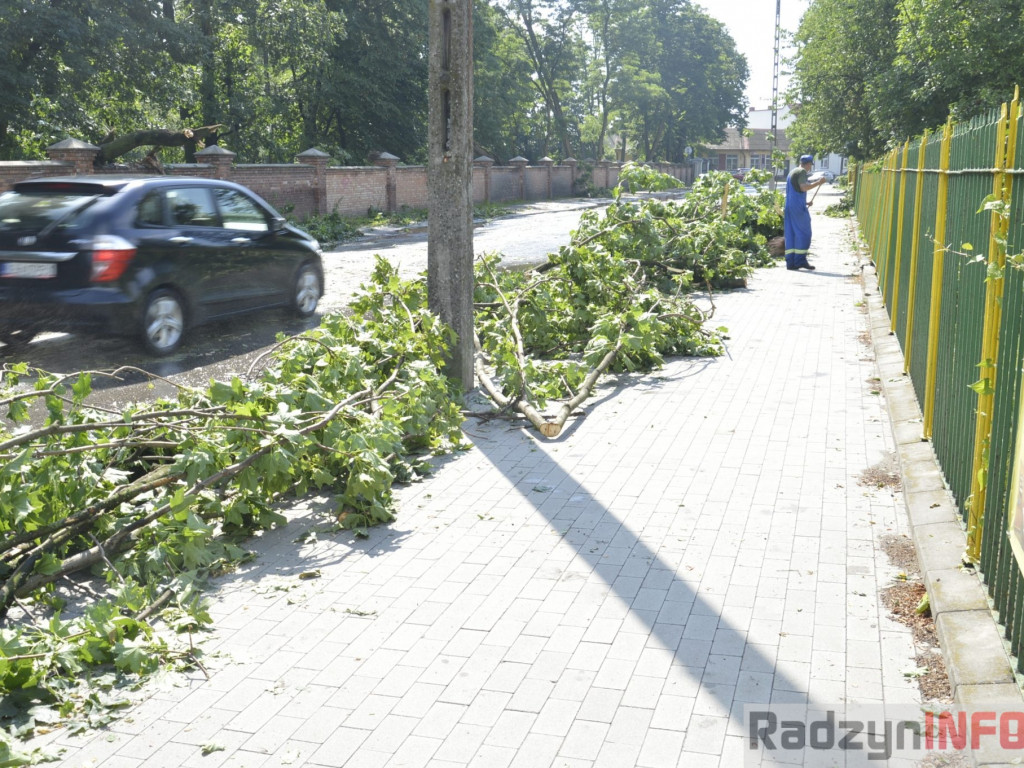 Radzyń, Marynin, Czemierniki po wichurze