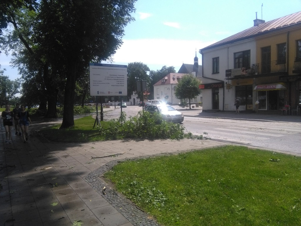 Spustoszenie po wielkim wichrze
