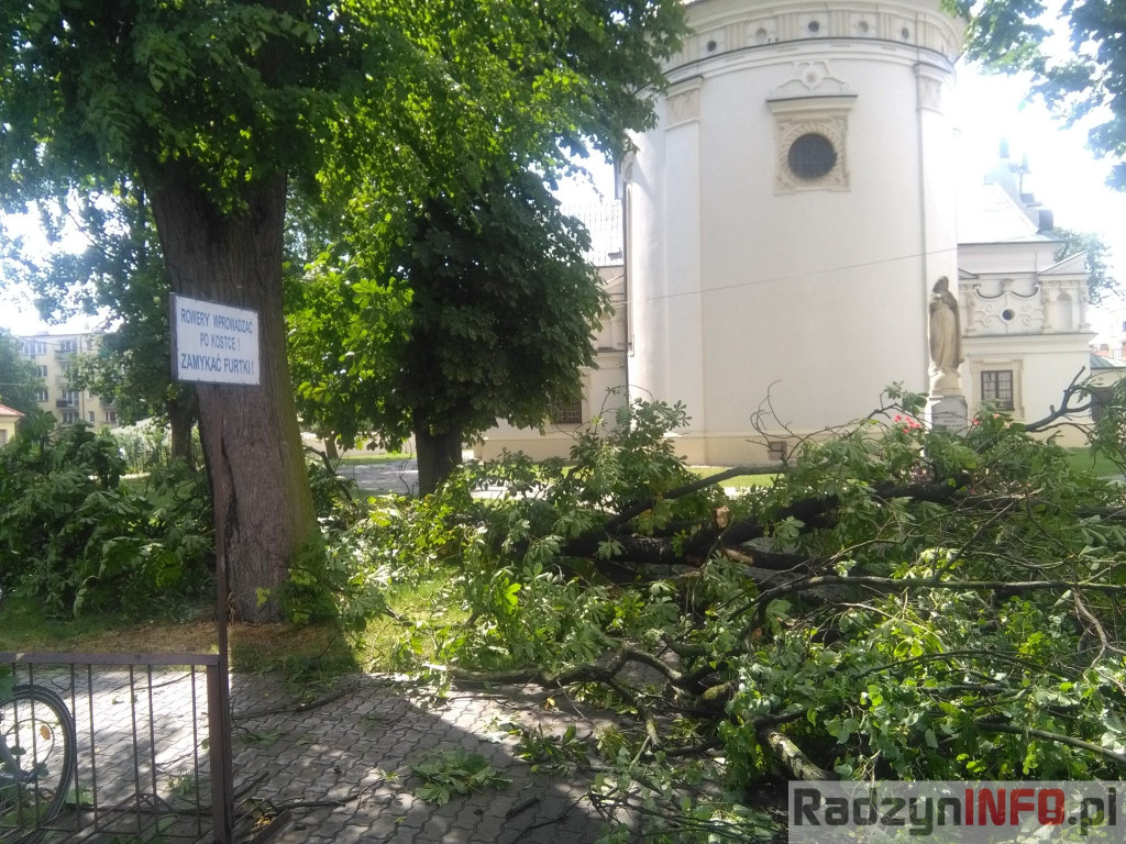 Spustoszenie po wielkim wichrze