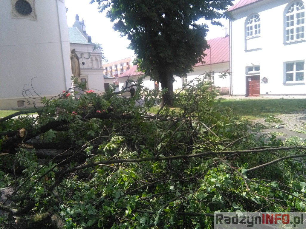 Spustoszenie po wielkim wichrze