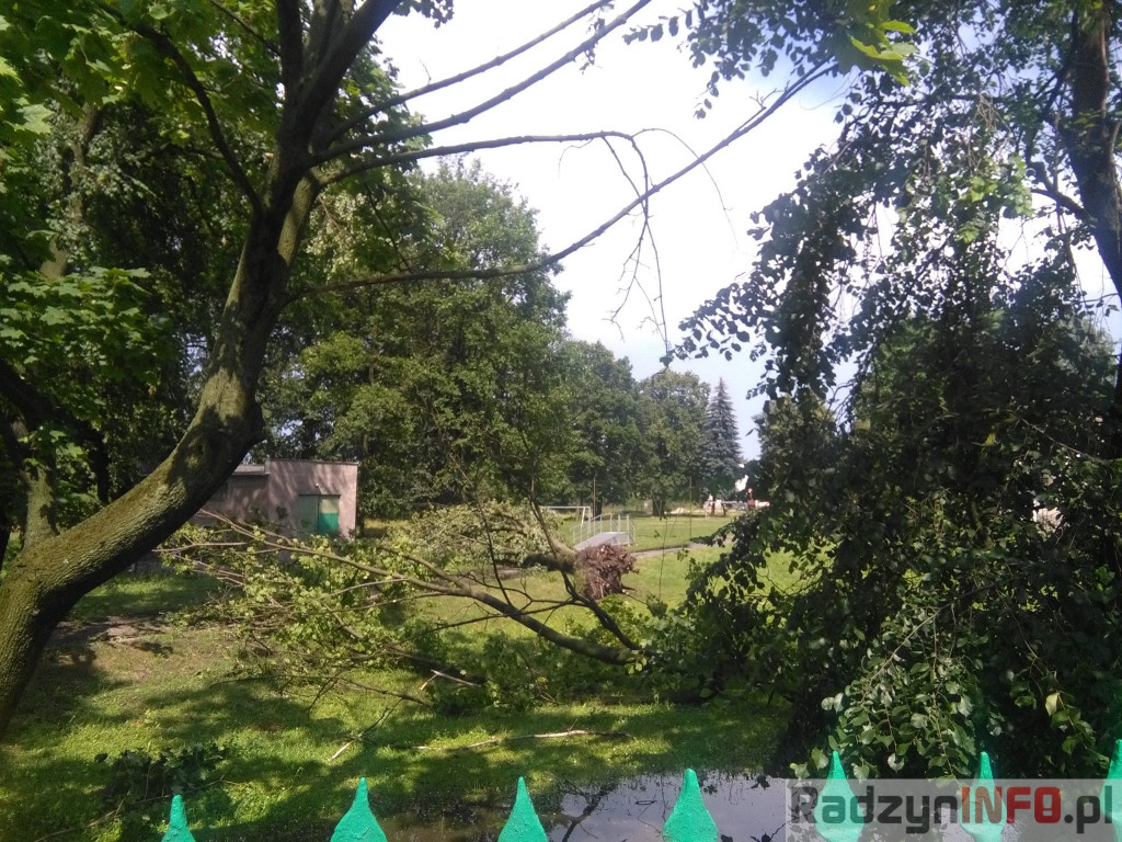 Spustoszenie po wielkim wichrze