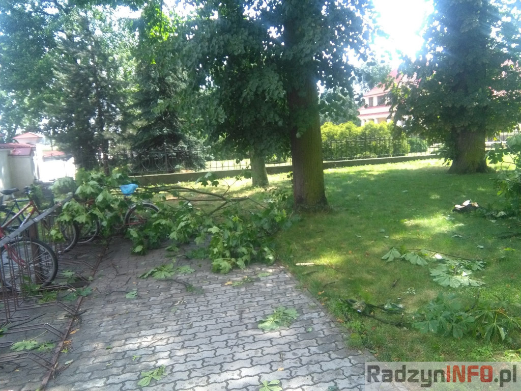 Spustoszenie po wielkim wichrze