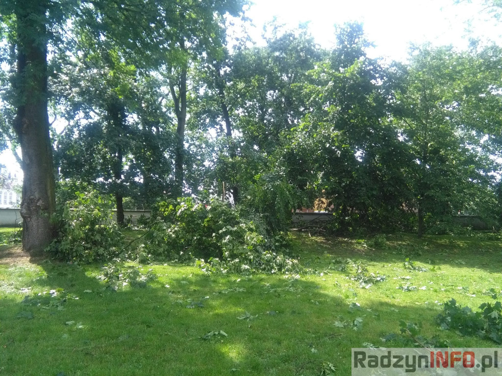 Spustoszenie po wielkim wichrze