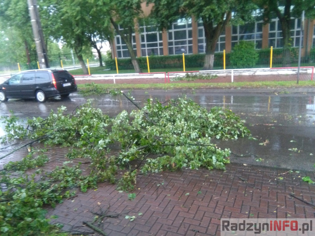 Spustoszenie po wielkim wichrze