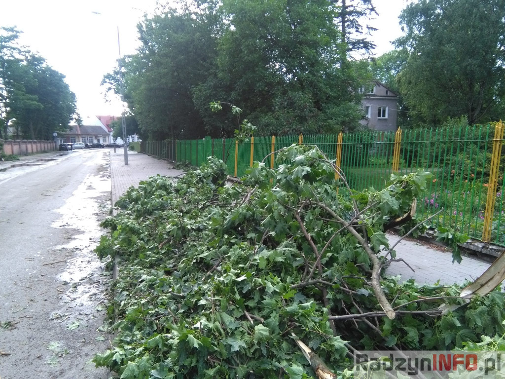 Spustoszenie po wielkim wichrze