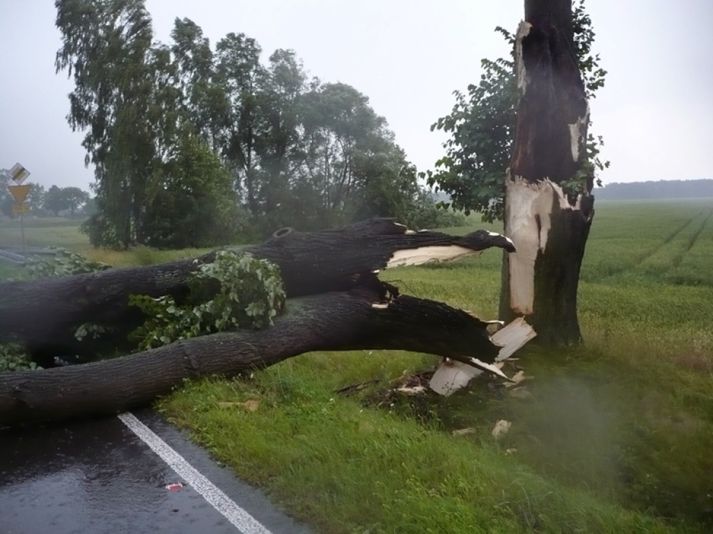 Strażacy mieli pełne ręce roboty