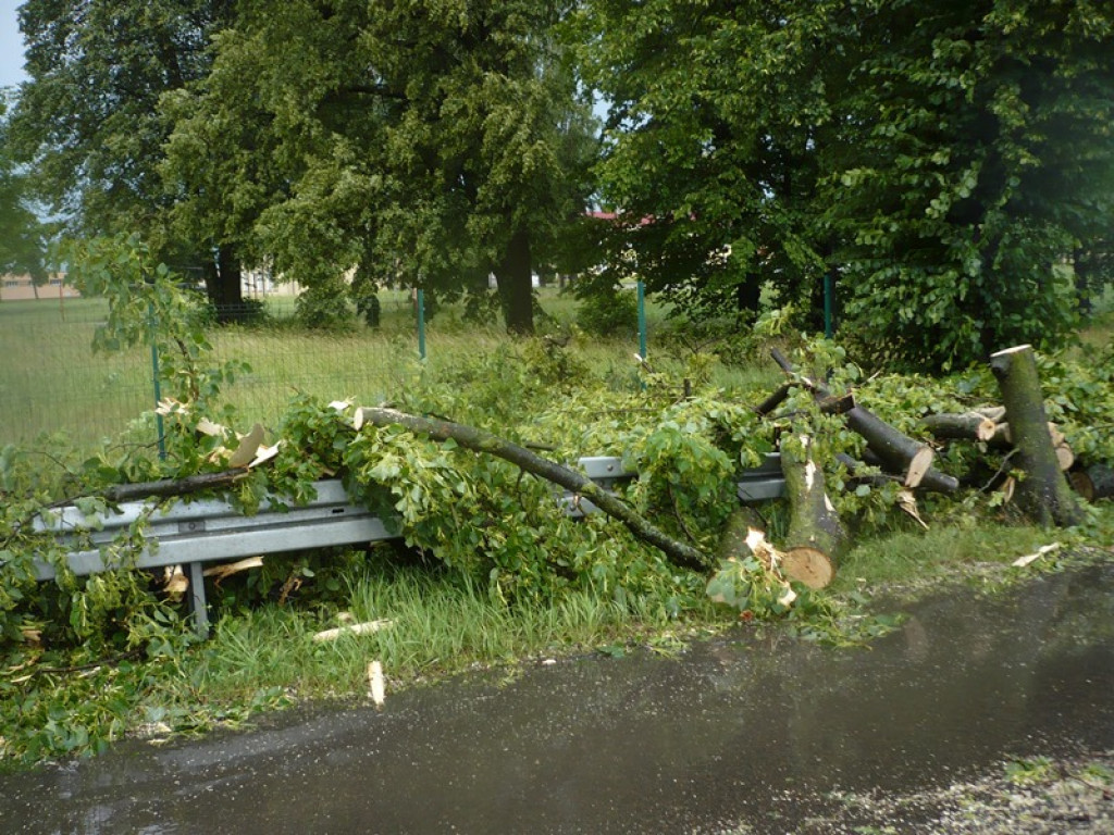 Strażacy mieli pełne ręce roboty