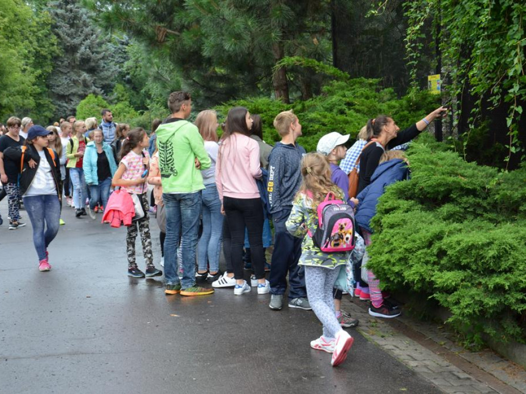 Półkolonie dla dzieci i moc atrakcji