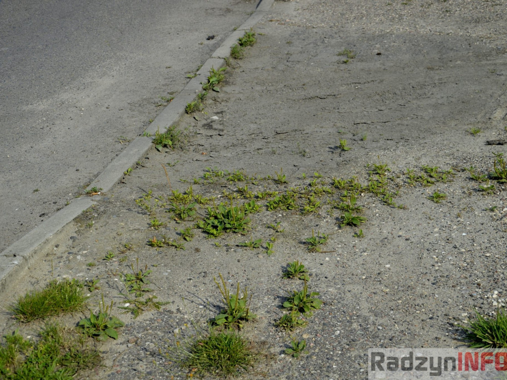 Chodnik na ul. Sitkowskiego i Zbulitowskiej
