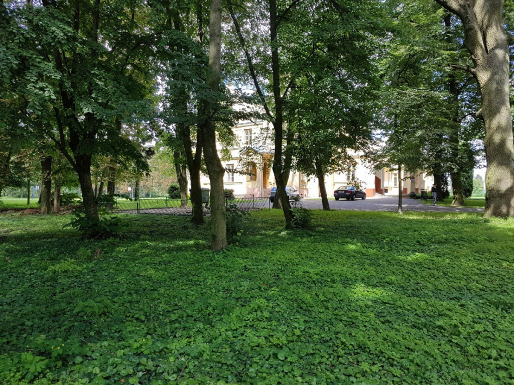 Dalsze prace nad Programem Rewitalizacji Gminy