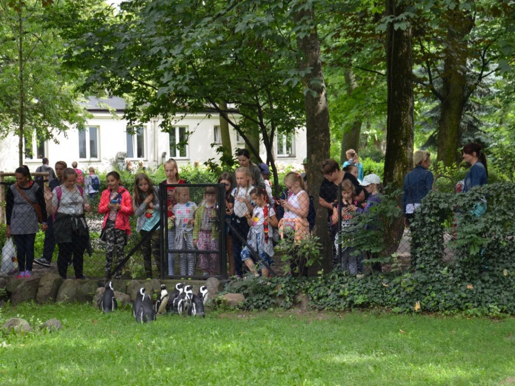Półkolonie integracyjne