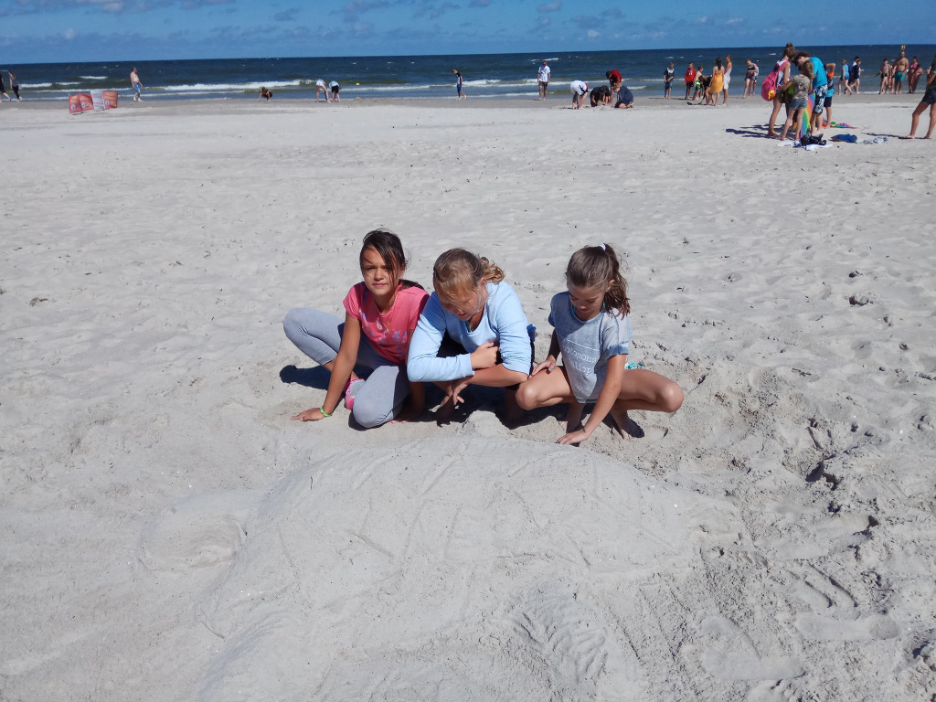 Projekt plaża Łeba