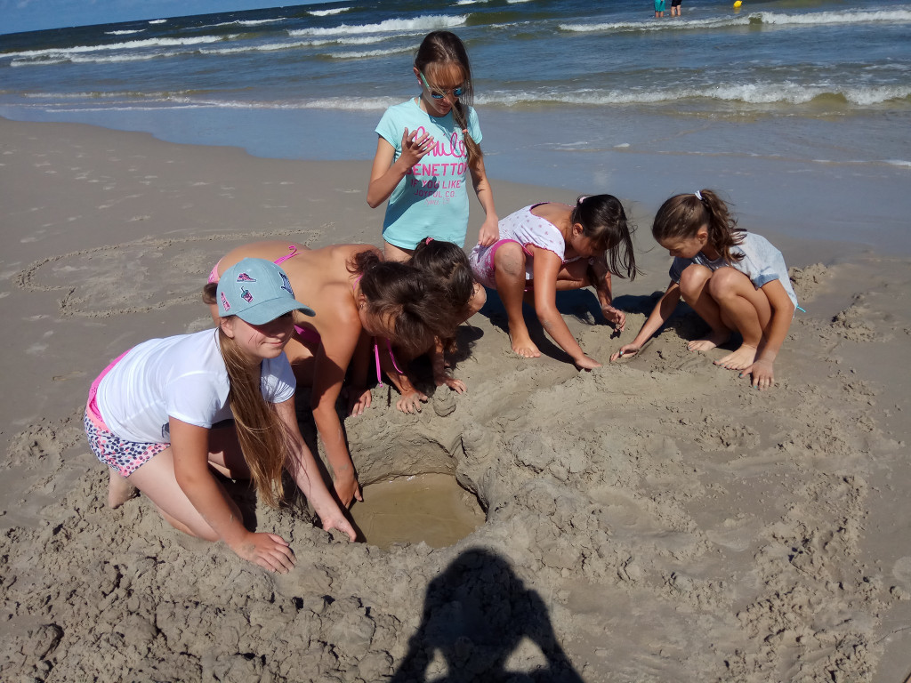 Projekt plaża Łeba