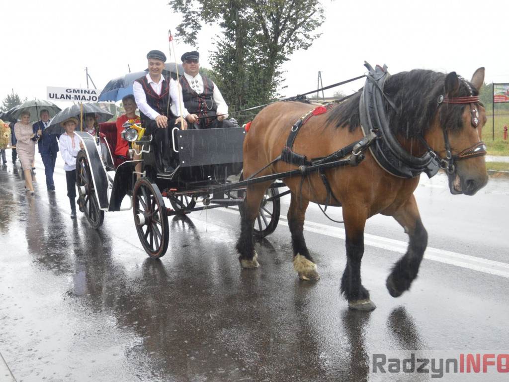 Święto plonów