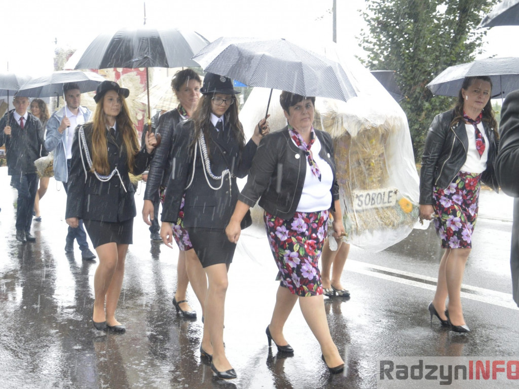 Święto plonów