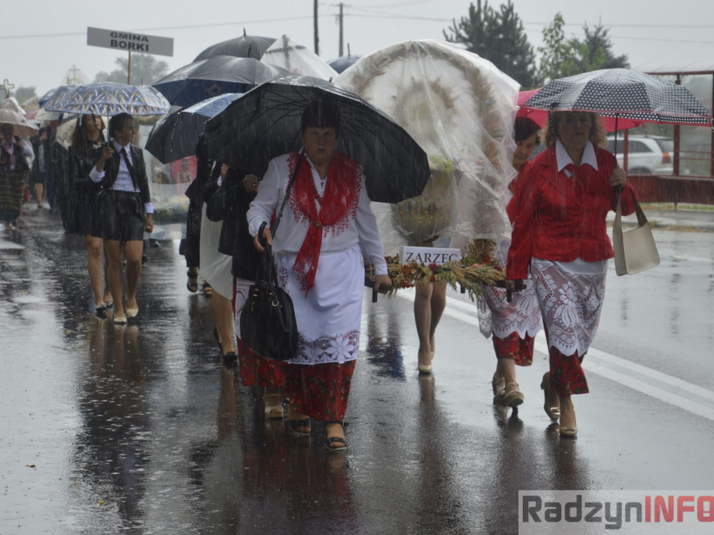 Święto plonów