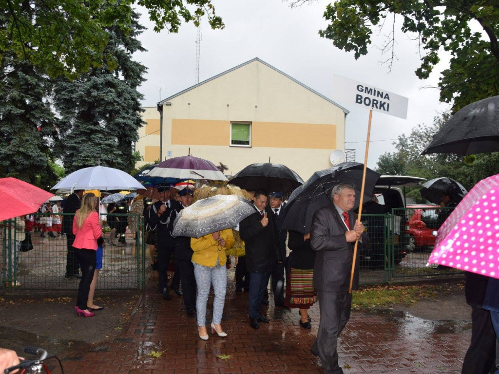 Gmina  Borki na dożynkach