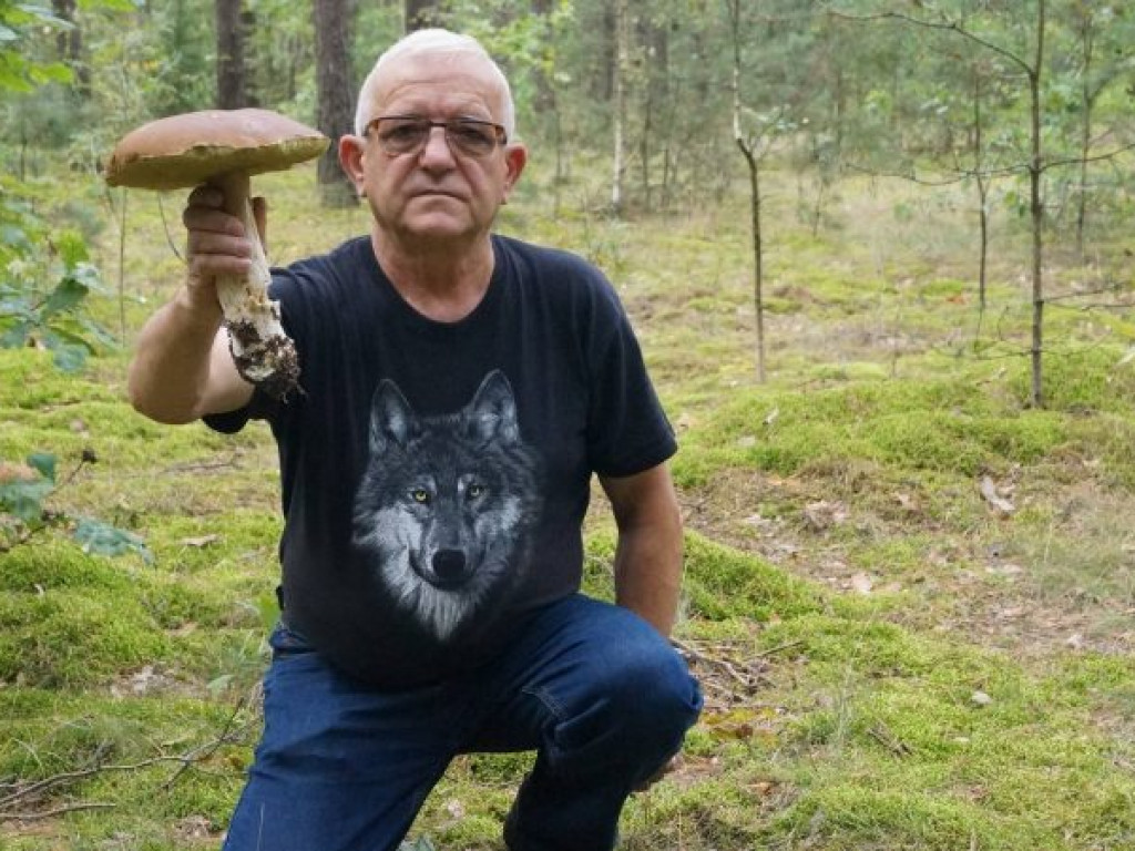 Niech pan jedzie na grzyby!