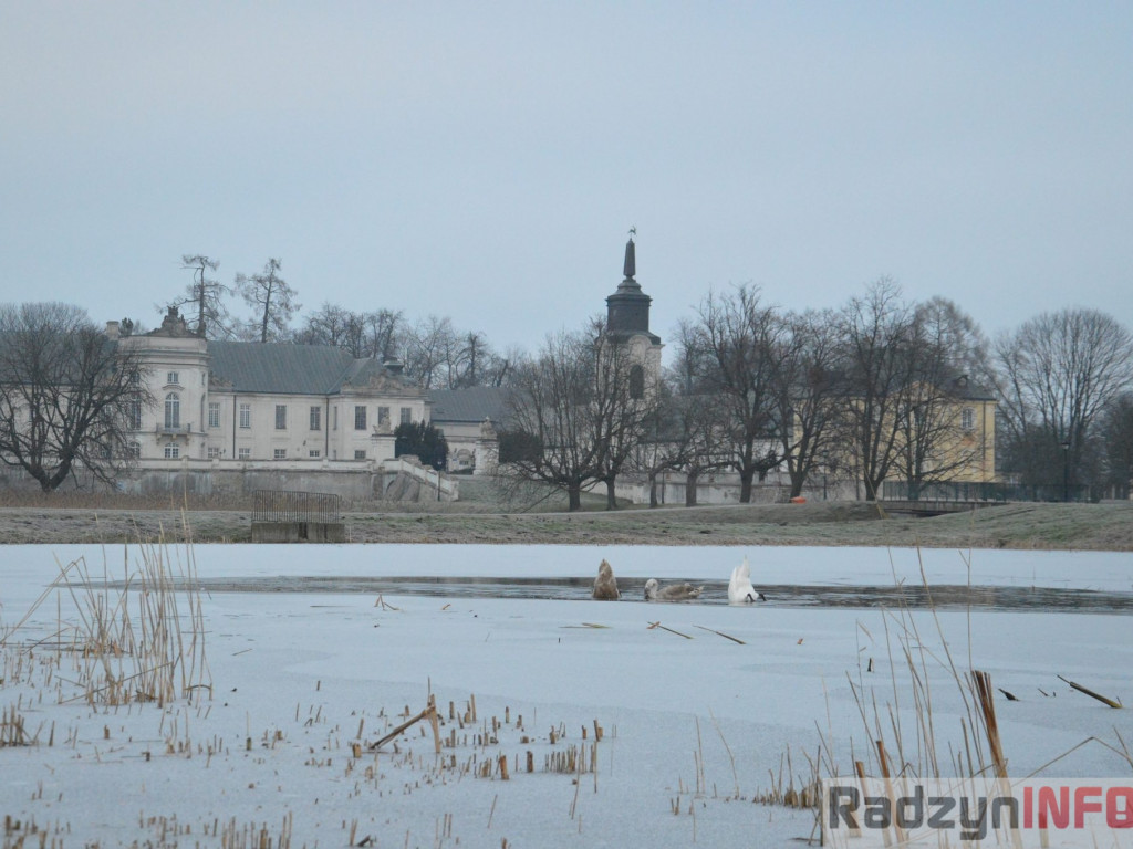 Wypięły się na Pałac