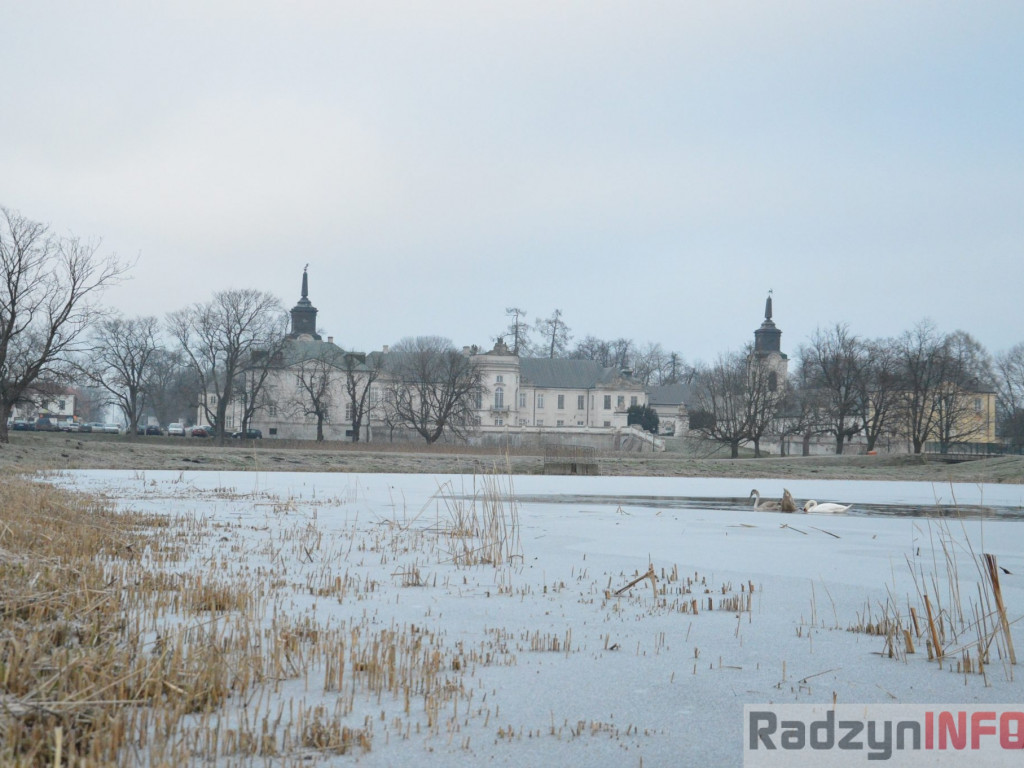 Wypięły się na Pałac