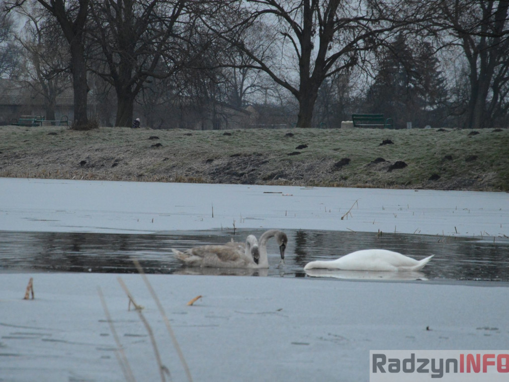 Wypięły się na Pałac