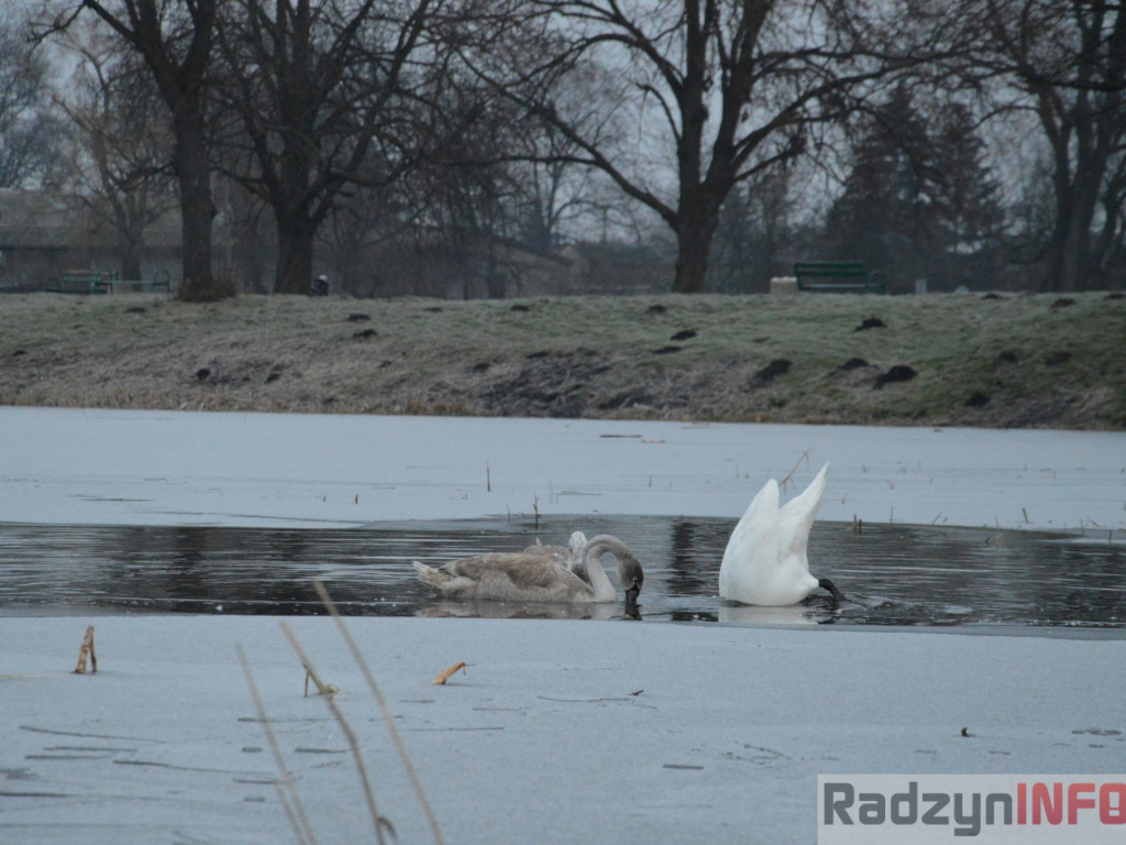 Wypięły się na Pałac