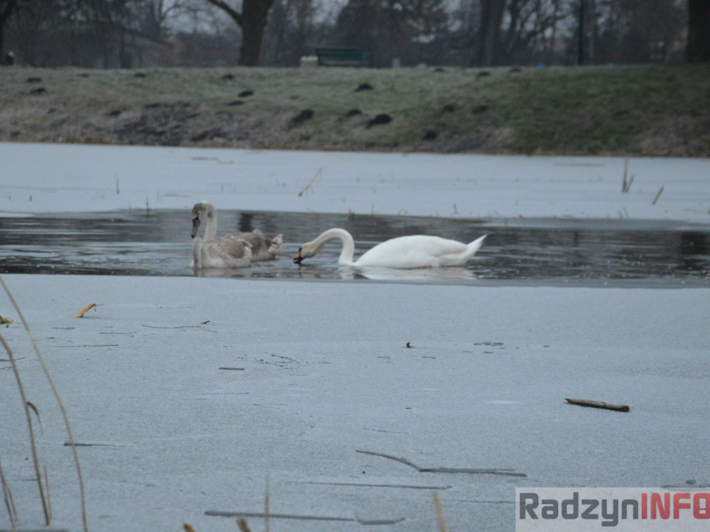 Wypięły się na Pałac