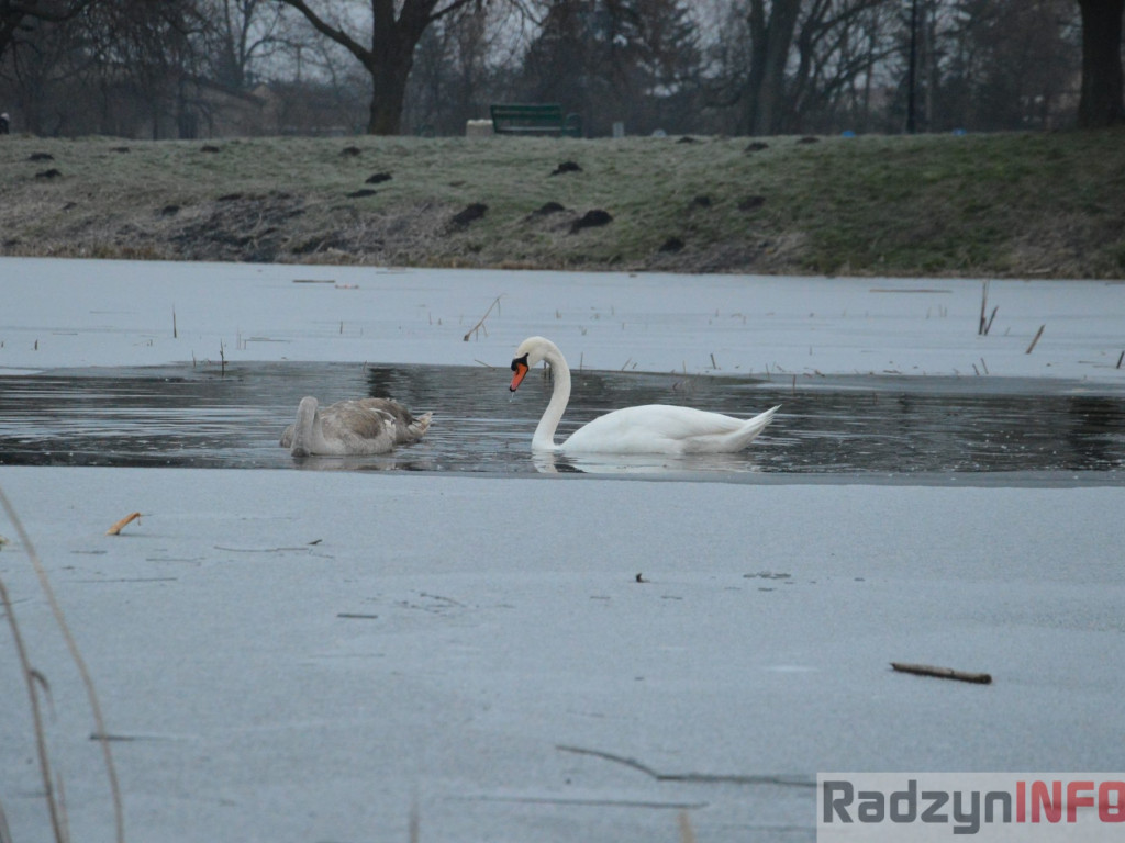 Wypięły się na Pałac