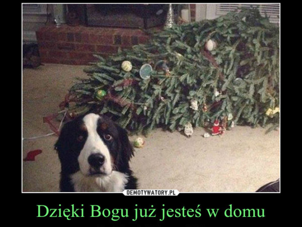 Satyrycznie w święta