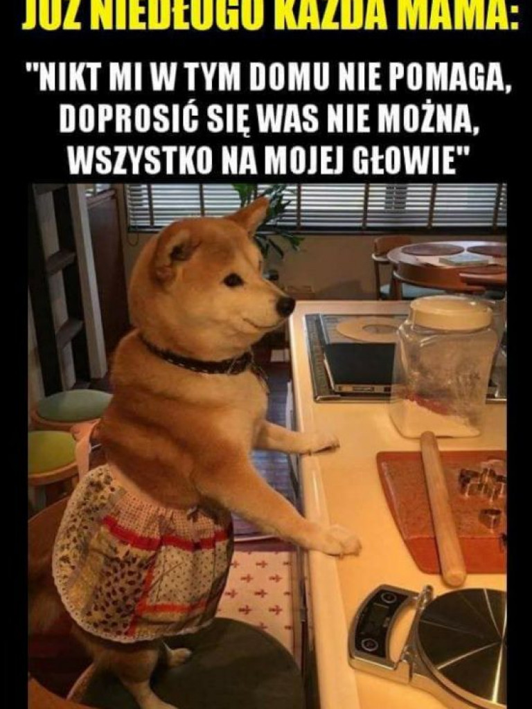 Satyrycznie w święta