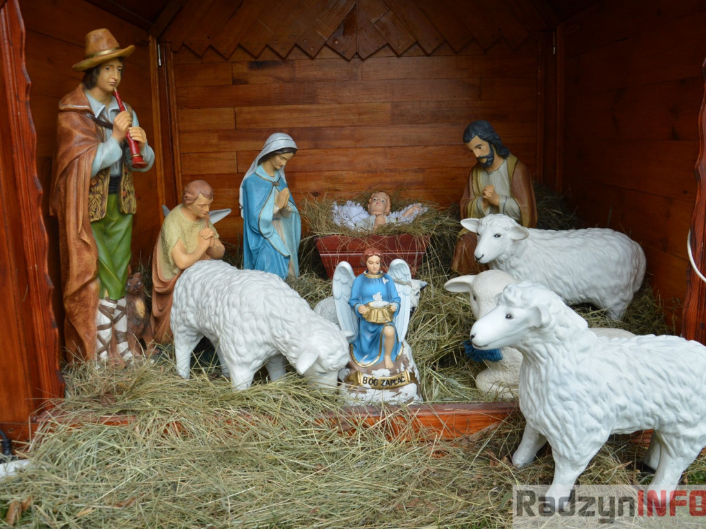 Ostrówki nie gęsi, swoją szopkę mają