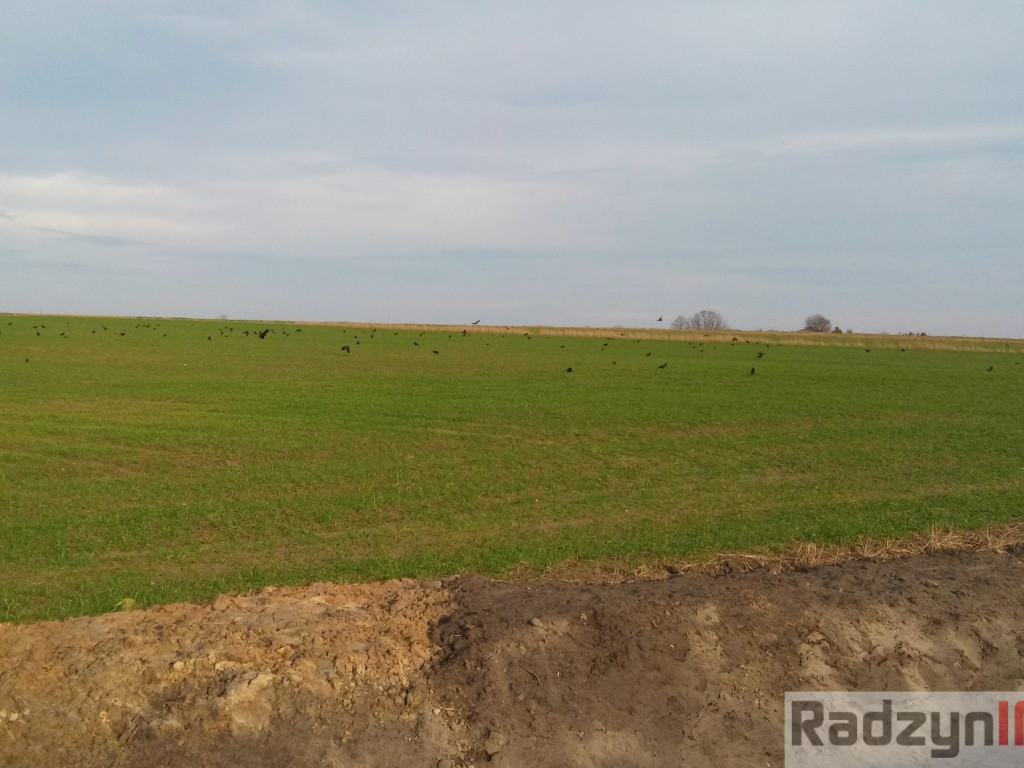 Z Doliny Tyśmienicy