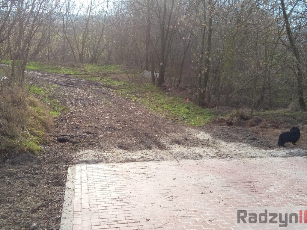 Z Doliny Tyśmienicy