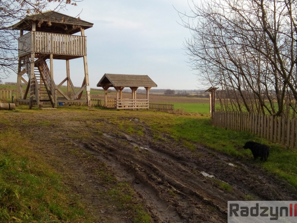 Z Doliny Tyśmienicy