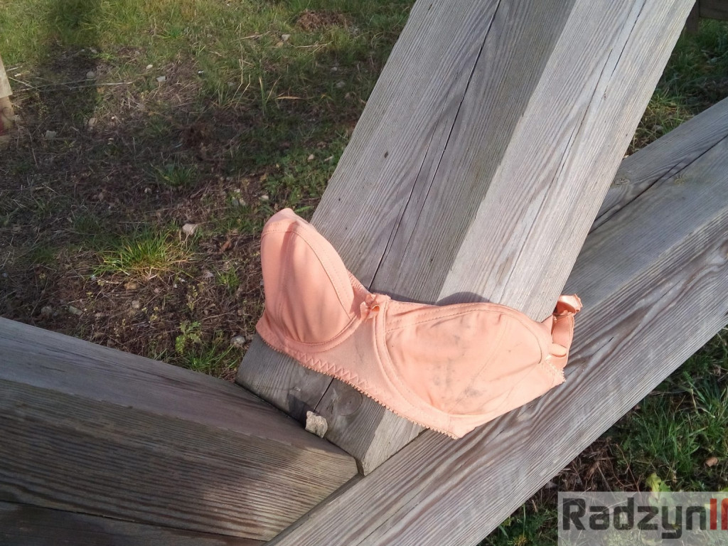 Z Doliny Tyśmienicy