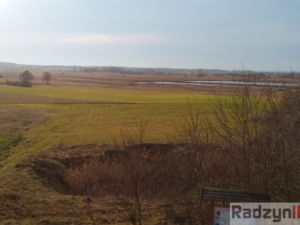 Z Doliny Tyśmienicy