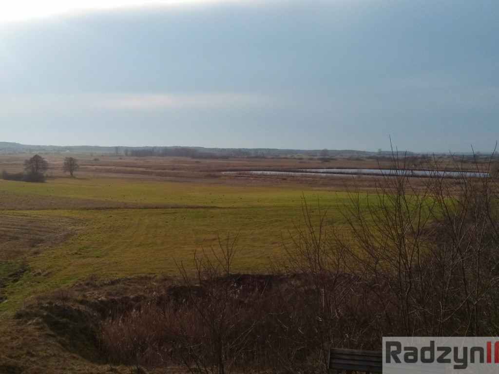 Z Doliny Tyśmienicy