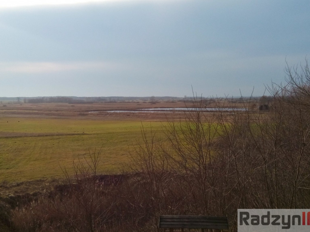 Z Doliny Tyśmienicy