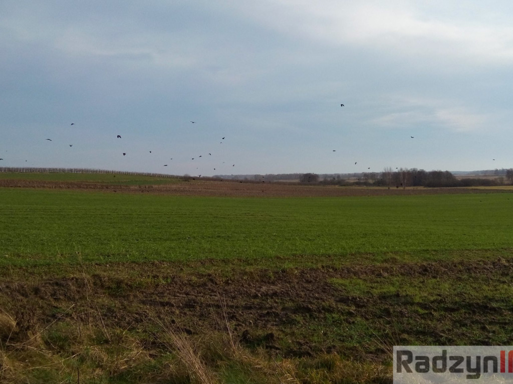 Z Doliny Tyśmienicy