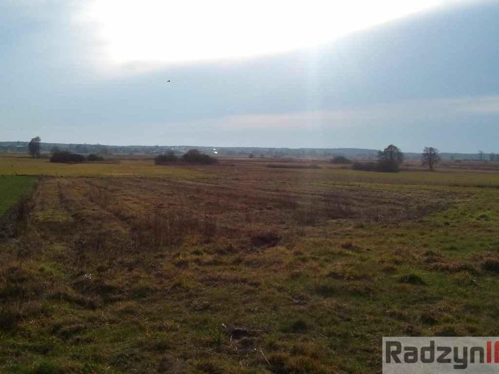 Z Doliny Tyśmienicy