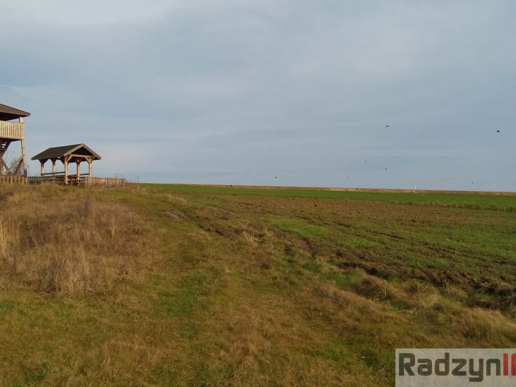 Z Doliny Tyśmienicy