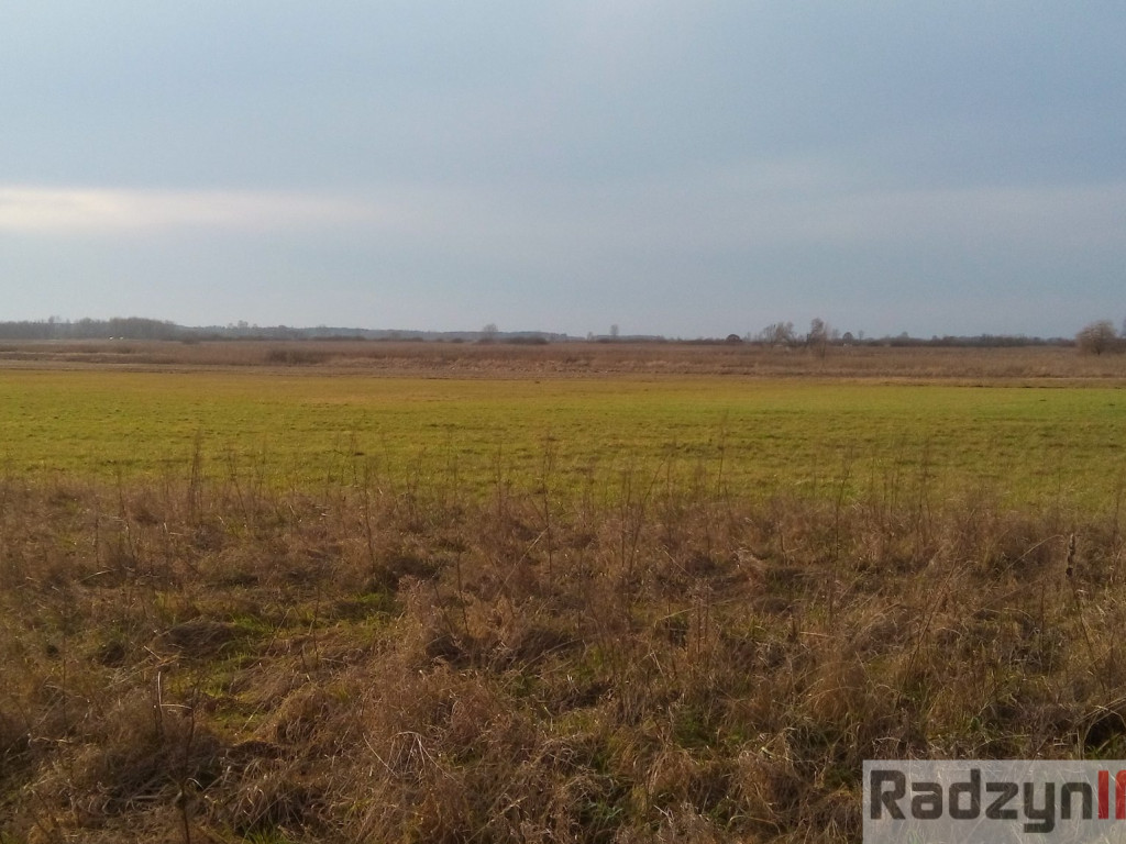 Z Doliny Tyśmienicy