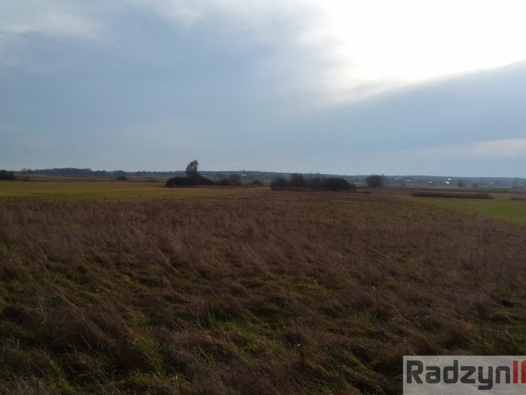 Z Doliny Tyśmienicy