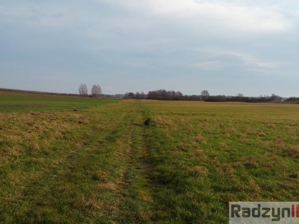 Z Doliny Tyśmienicy